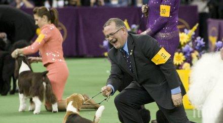 домашни любимци излапаха млрд сащ