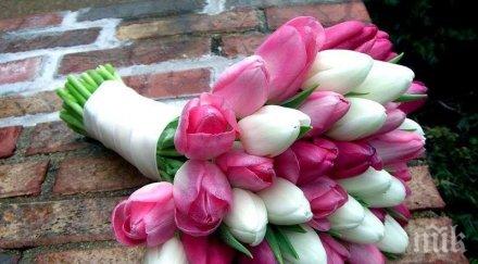 честит празник дами вижте изумителната история родила празника жената