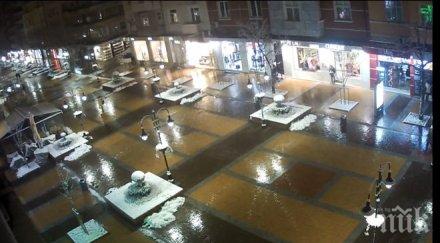 отново разкрасяват бул витоша столицата