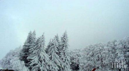 селища смолянско кърджалийско хасковско без ток