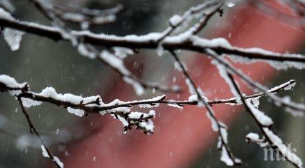 невероятно пловдивчани радват първия сняг зима