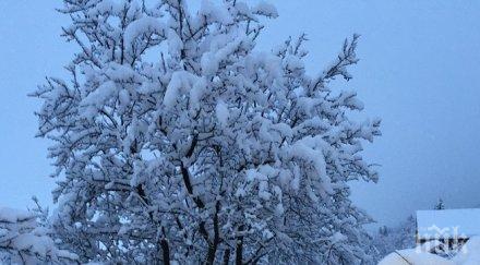 червен код март снеговалежи южна българия