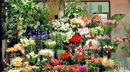 броим млн цветя март