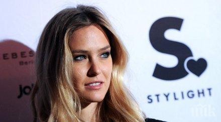 палавата бар рафаели задомява