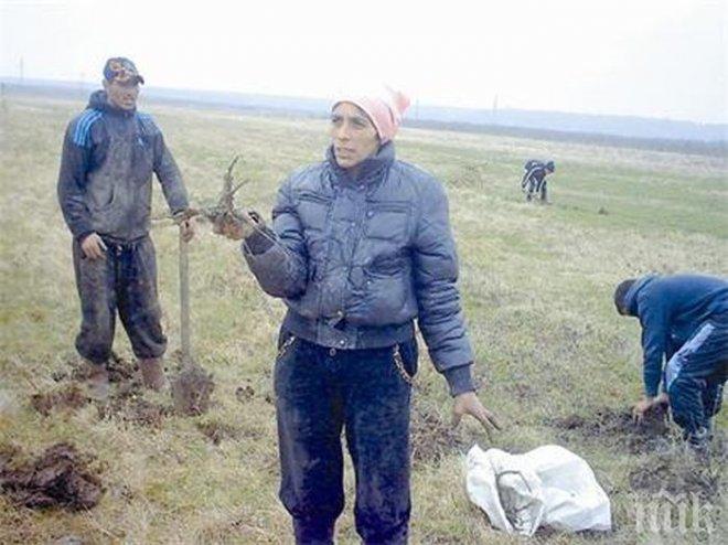 Мизерия! Глад мъчи цяло село, хората ровят в земята и вадят корени да се изхранват