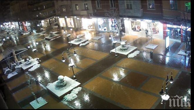 Отново разкрасяват бул. Витоша в столицата