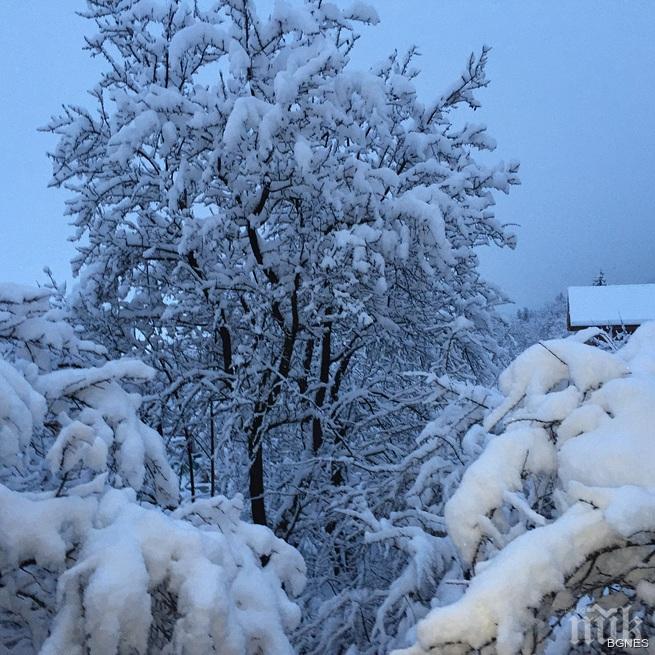 Бедствено положение в Рудозем