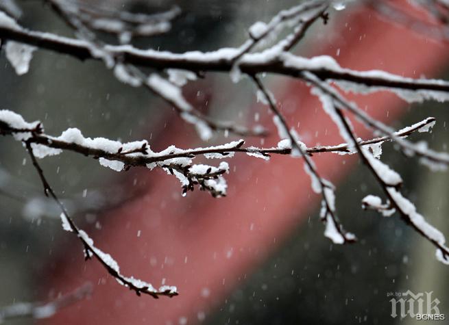 Невероятно - пловдивчани се радват на първия сняг тази зима