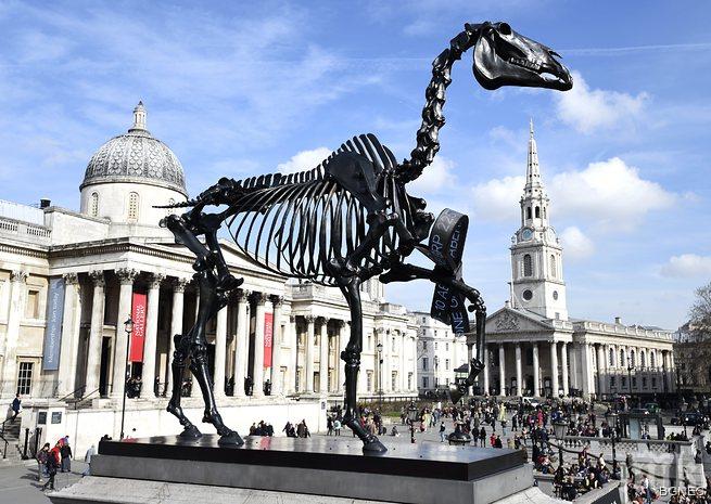 Скелет на борсов кон се появи в центъра на Лондон