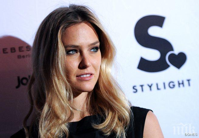 Палавата Бар Рафаели се задомява