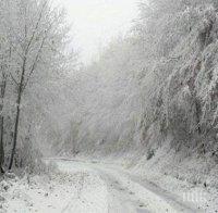 Армията се включи в битката със снега 
