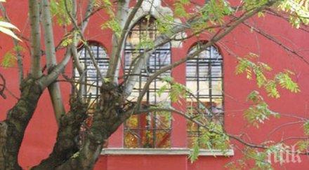 зелените канят червената къща