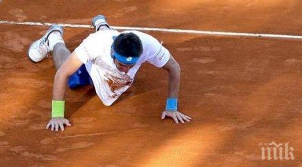 рекорд гинес купа дейвис