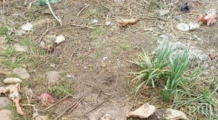 потресаващо разпилени кости гробищния парк шокират бургазлии снимки