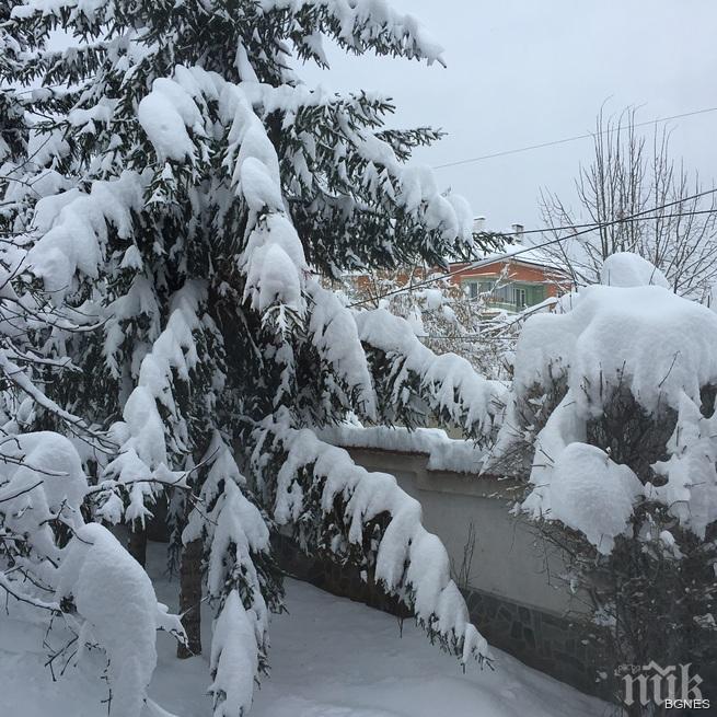 130 см сняг в Смолянско