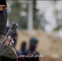 Ислямска държава има собствена социална мрежа 