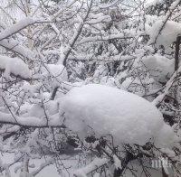 Военнослужещи помагат на бедстващите, доставят хляб в Родопите