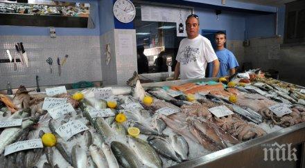 строят пазар риба 189 хил лева шабла