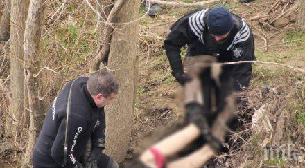 сложиха видео охрана осветление лобното вероника