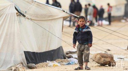 продължителността живота сирия намаля години