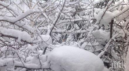 битката зимата кърджалийско води въздух земя