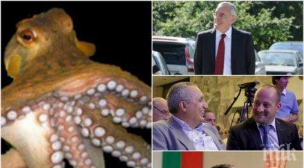 създава нов финансов октопод държавата плевнелиев донев кристалина прокопиев радан преплитат бизнес интереси кроят планове лапнат банка