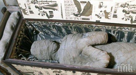 старата мумия света изгние