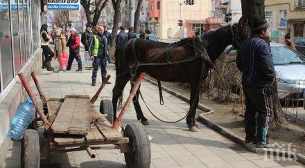 побеснели коне вилняха центъра казанлък