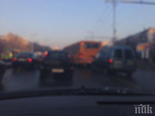 Внимание! Психари камикадзета се хвърлят под колите