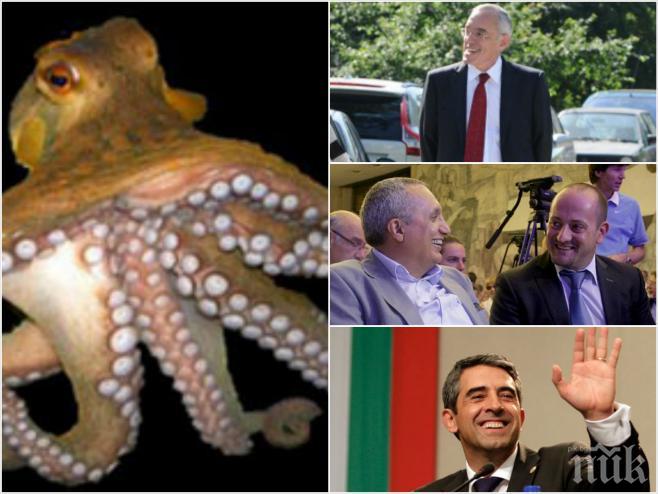 Създава се нов финансов октопод в държавата! Плевнелиев, Донев, Кристалина, Прокопиев и Радан преплитат бизнес интереси, кроят планове да лапнат банка! 