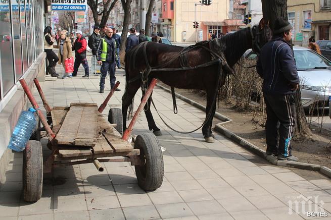 Побеснели коне вилняха в центъра на Казанлък