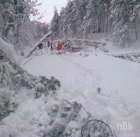 Ардино се връща към света, отварят се пътищата