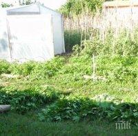 Спипаха ученици дилъри в Сандански