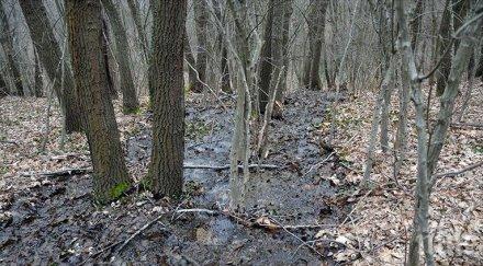 мистериозна тръба излива години вода парк златни пясъци опасност свлачище снимки