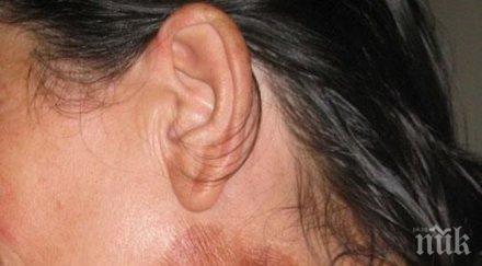 бургас предприемат мерки туларемията