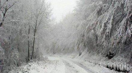 движението видинско засилено