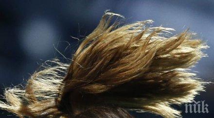 цвети фаворитка сесил еврофутбол