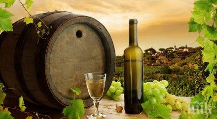 вечни мисли виното