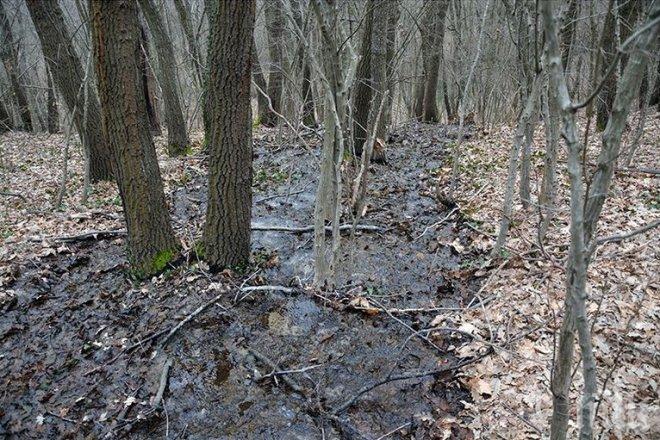 Мистериозна тръба излива с години вода в парк Златни пясъци! Има опасност от свлачище (снимки)