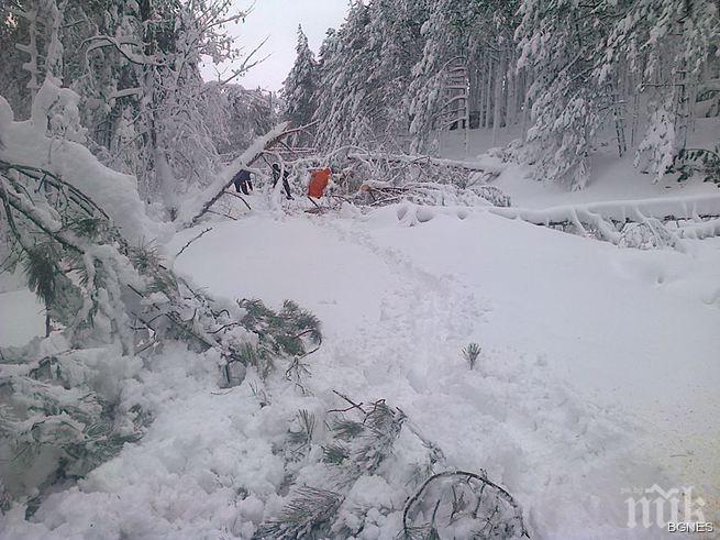 Ардино се връща към света, отварят се пътищата