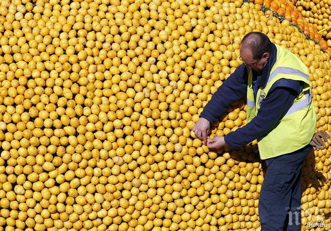 Аромат на лимон и розмарин помага за повече концентрация