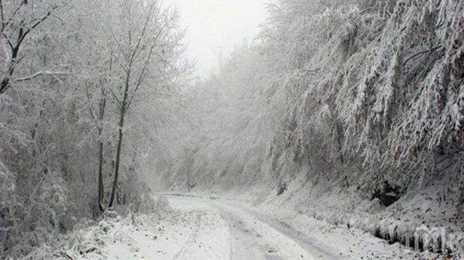 Движението във Видинско е засилено
