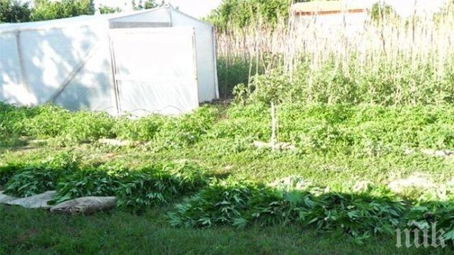 Спипаха ученици дилъри в Сандански