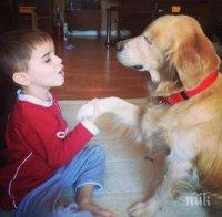 Трогателно! Куче без очи помага на стотици (снимки)