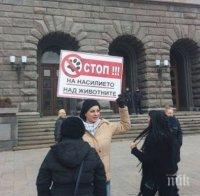 Протестиращи поискаха създаване на зоополиция (снимки)