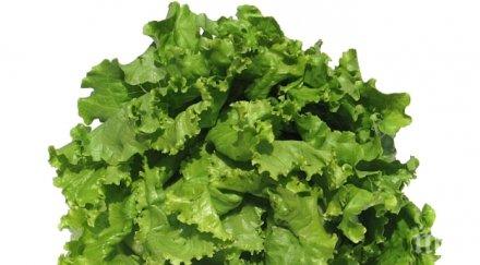 салатите доказано намаляват риска диабет