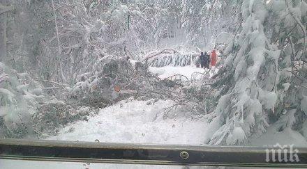 бедственото положение кърджалийска област отменено хората все без ток вода обзор