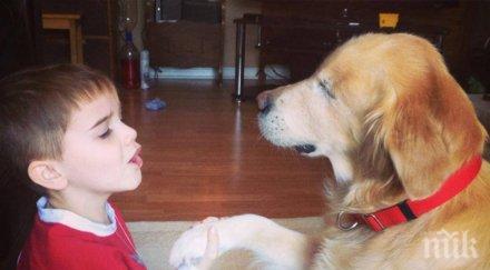 трогателно куче без очи помага стотици снимки