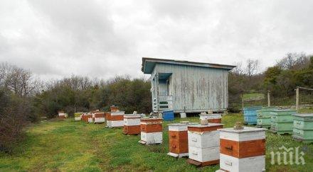 пчелари вдигнаха протест искат увеличение субсидиите