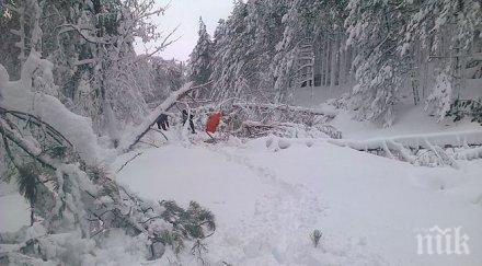 хиляди домакинства без ток смолянско пак вали сняг